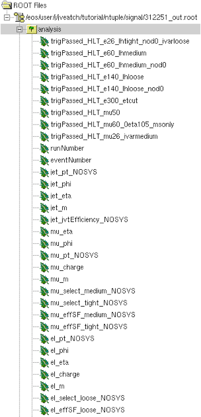 User-produced ntuple TTree branches