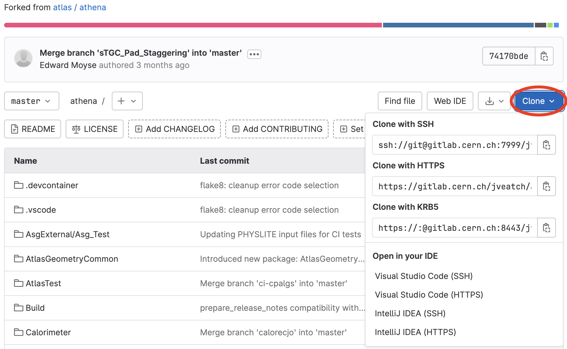 Gitlab Fork URLS